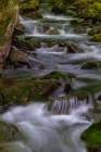 USA-West Virginia-New River Gorge National Park Stream rapids in spring Art Print